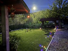 Ajutor gradinarit, cumparaturi si treburi gospodaresti